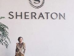 -广州奥园喜来登酒店
