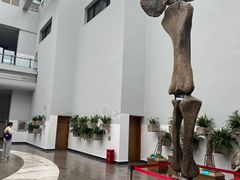 -自贡恐龙博物馆