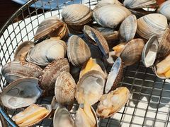 白蚬子-海味当家·蒸锅海鲜(星海公园店)