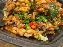 -蛙来哒(汇一城黑金冠店)