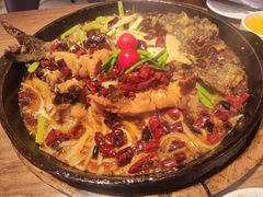 -老板恋上鱼(恒隆广场店)