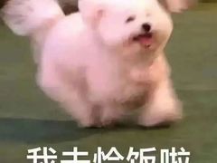 -肥朵食堂(带梦胡同店)