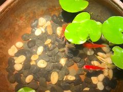 -曲水兰亭(北京四惠店)