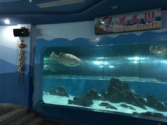 -苏州海洋馆