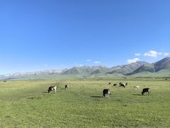 -新疆那拉提国家旅游度假区