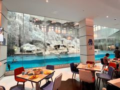 -帝企鹅自助餐厅•儿童岛•真企鹅(长隆企鹅酒店)