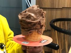 -野人先生现做冰淇淋(北京顺义祥云小镇店)