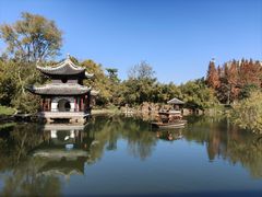-水绘园