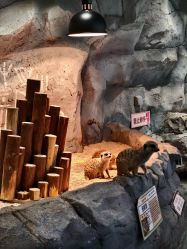 -Zoolung Zoolung动物主题公园(海信广场店)