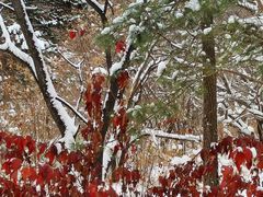 -长春市南湖公园