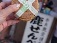 -奈良公园