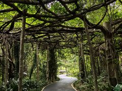-广西壮族自治区药用植物园