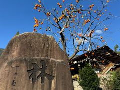 -林坑古村落