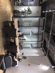 点击看大图 -Mentor Hair Salon