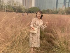 -艾溪湖湿地公园