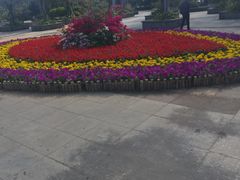 -亚龙湾站