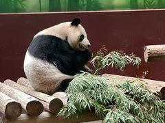 -杭州野生动物世界