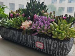 -沐春秋茶书院·茶室.茶馆.商务包房(知春路店)