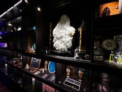 -雪灵魔法世界SHELLY’S TAROT(大良桂畔里店)