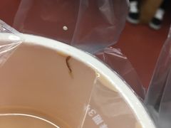 -CoCo都可(嘉定日月光店)