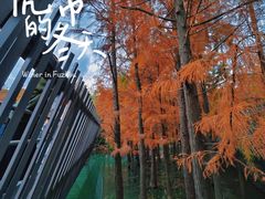 -福道