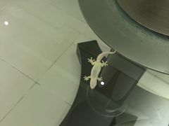 -三亚海棠湾万丽度假酒店