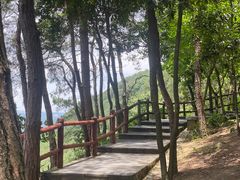 -铁山坪森林公园