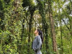 -昆山城市生态森林公园