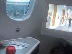 -海南海航航空信息系统公司