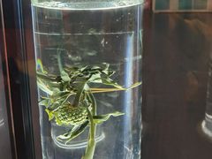 -广东中医药博物馆