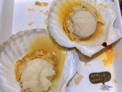 扇贝-苏大嘴海鲜牧场(奥林匹克店)