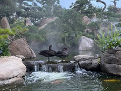 -罗红摄影艺术馆