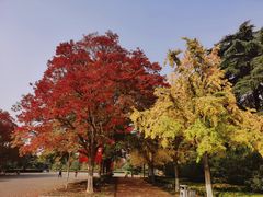 -淮海战役纪念馆