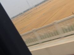 -墨客悦庭酒店(长沙麓谷涉外经济学院店)