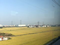 -金山北站