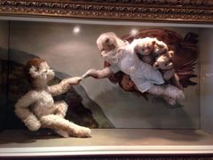 泰迪熊博物馆-济州岛泰迪熊博物馆