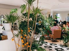 大堂-一尺花园(安和花园店)