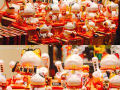 -猫咪博物馆(顶澳仔猫街店)