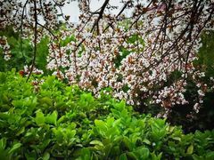 -兰陵国家农业公园