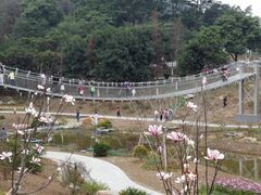-东莞植物园