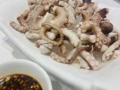 爽口八爪鱼-双井轩(双井店)