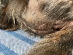 -爱派特动物医院·全科诊疗中心