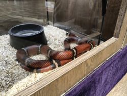 -Zoolung Zoolung动物主题公园(海信广场店)