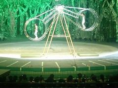 android_upload_pic-灵玲国际马戏城