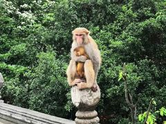 -大连天门山国家森林公园