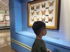 -上海昆虫博物馆