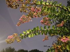 -杭州城北体育公园