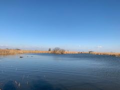 -盐城丹顶鹤湿地生态旅游区