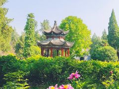 -洛阳白马寺