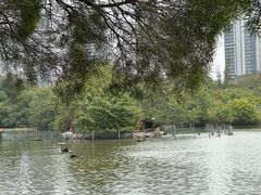 -五缘湾湿地公园